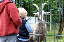 Besucher am Ziegengehege des Zoo Mainz