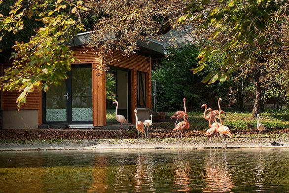 Flamingohaus im Stadtpark