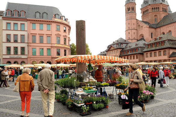 Marktstände vor dem Mainzer Dom