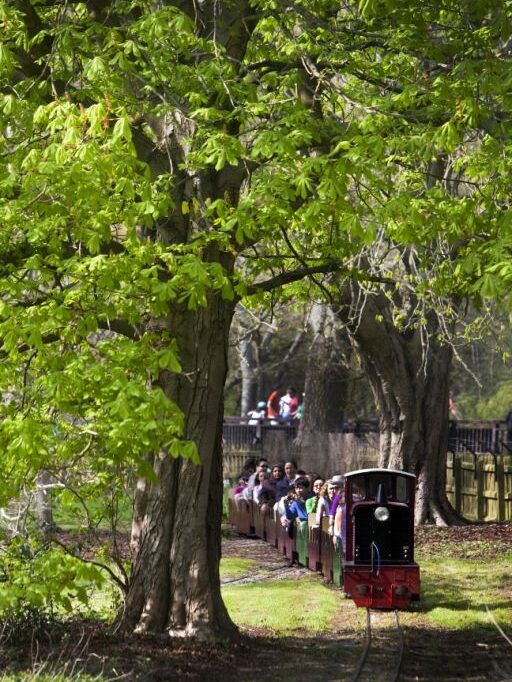 Watford, Cassiobury Park