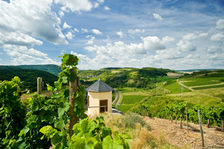 Weinbergshaus am Nahe-Radweg