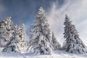 Erbeskopf im Hunsrück © Foto: Dominik Ketz, Quelle: Rheinland-Pfalz Tourismus GmbH