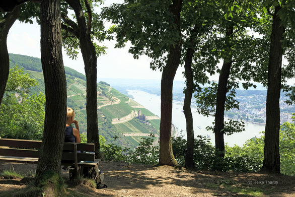 Rheinblick am Damianskopf, Binger Wald