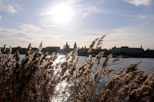 Der Drei-Brücken-Spaziergang führt am schönsten Panoramablick auf Mainz entlang!