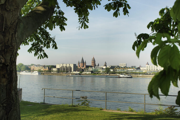 Blick auf Mainz vom Kasteler Rheinufer aus