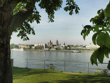 Blick auf Mainz vom Kasteler Rheinufer aus