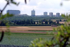 Blick über die Draiser Senke auf Lerchenberg © Landeshauptstadt Mainz