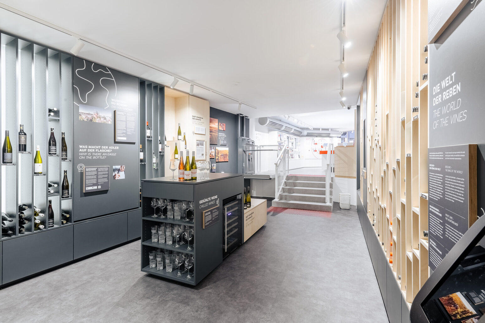 Vinothek im mainz STORE, graue Wände mit Fächern und grünen und braunen Weinflaschen.