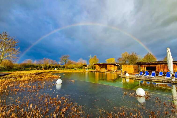 Der Außenbereich der Rheinwelle mit Pool und Liegen