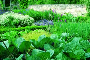 Nutzgarten © Interessensgemeinschaft der Gartenführer Rheinhessen