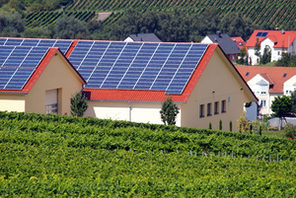 Solarzellen auf den Dächern des Weinguts © Weingut Raddeck