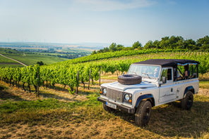 Weinsafari durch Rheinhessen © Weingut Mohrenhof