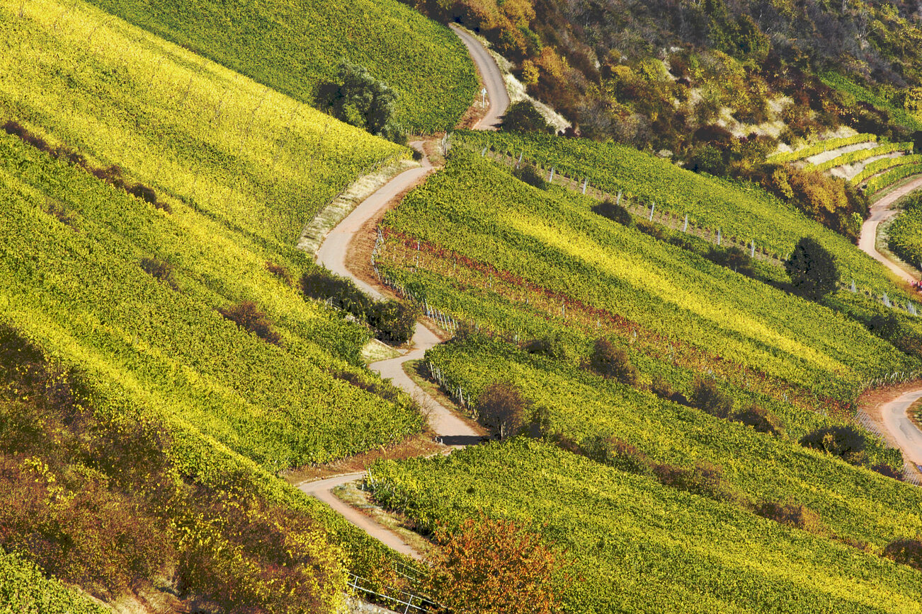 Roter Hang in Nierstein