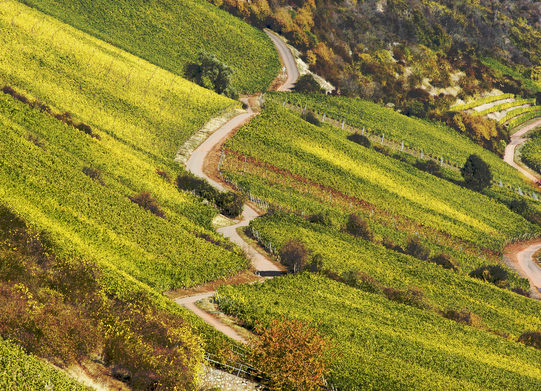 Roter Hang in Nierstein