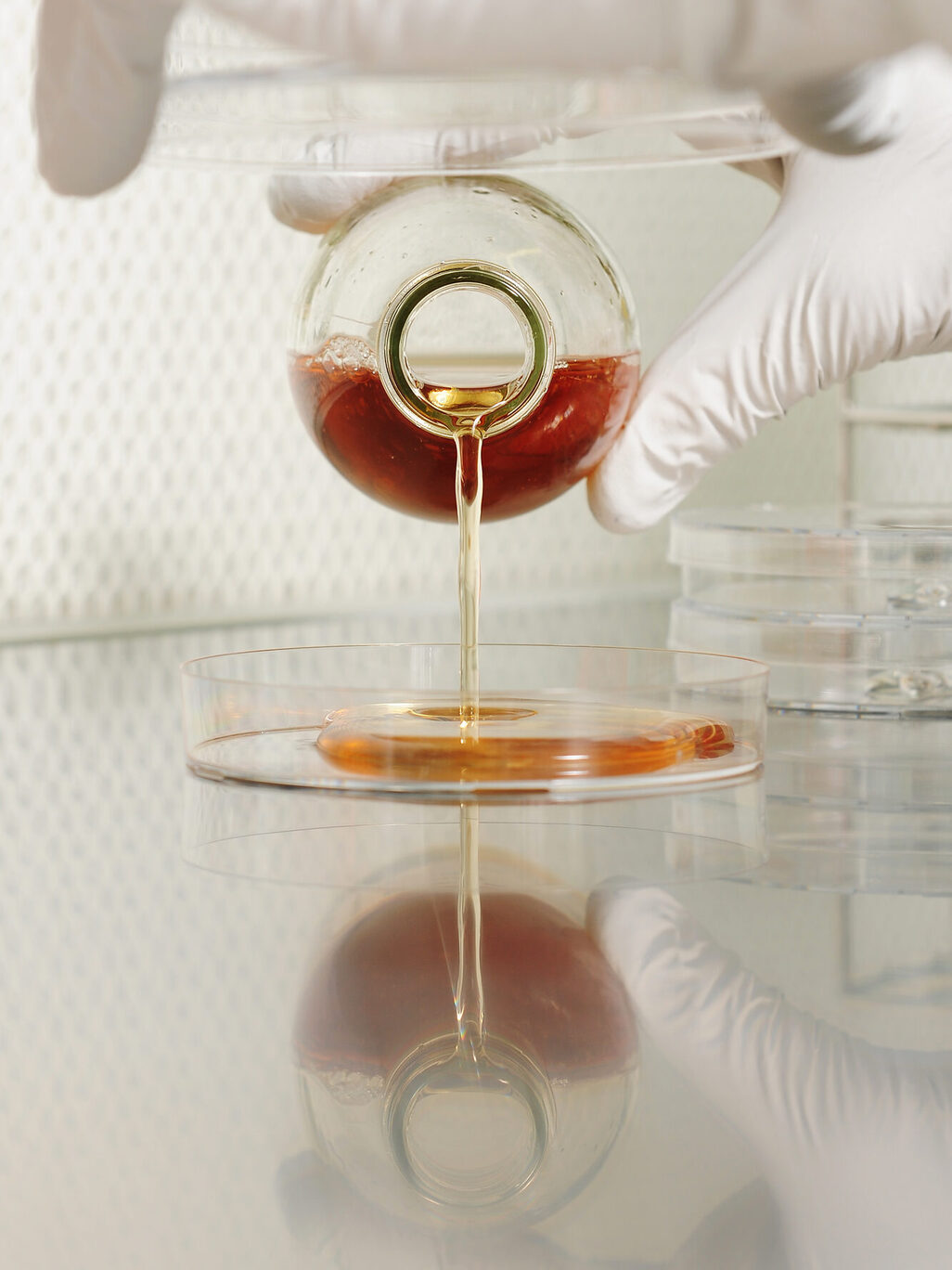 Two hands in white gloves, one carefully tipping a brownish liquid into a glass bowl in a laboratory, Johannes Gutenberg University Mainz