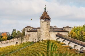 Mittelalterliche Burg auf grünem Hügel © Pixabay
