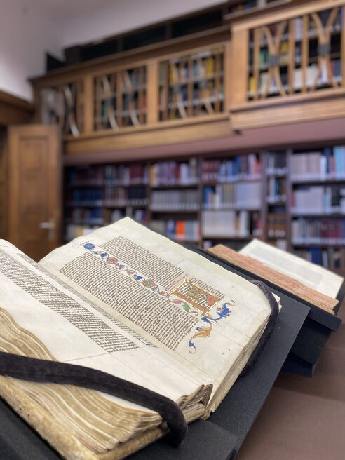Manuscripts in the reading room