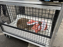 Das eingefangene Reh in einer Transportbox.