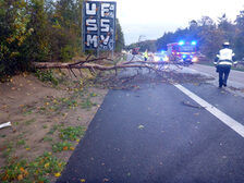Umgestürzter Baum liegt auf dem Standstreifen und Teilen der Fahrspur.