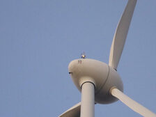 Nahaufnahme der Windenergieanlage.