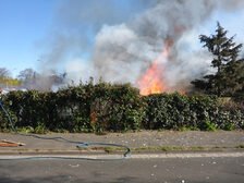 Flammen steigen hinter einer Hecke auf.