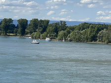 Boote auf dem Rhein.