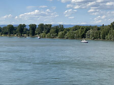 Boote auf dem Rhein.