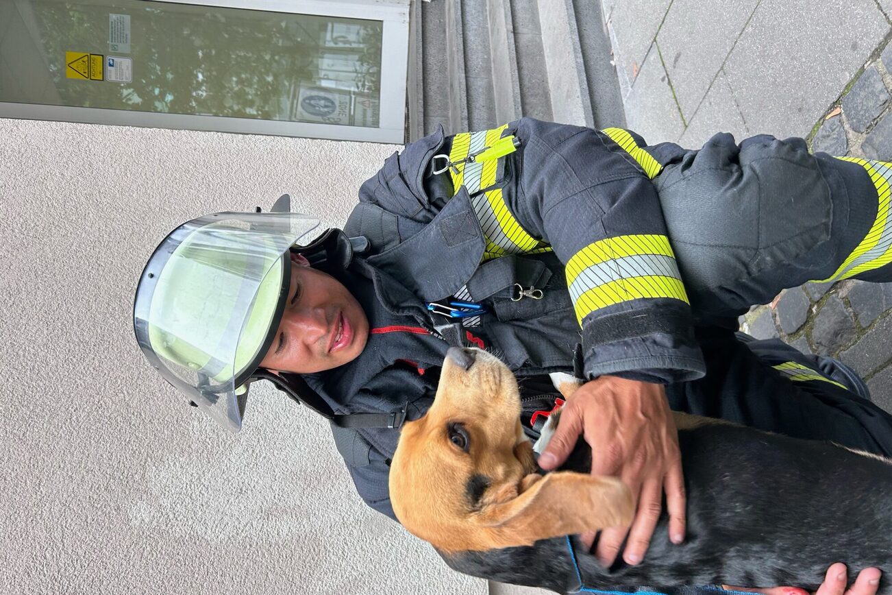 Il beagle Frank con uno dei suoi soccorritori, David.