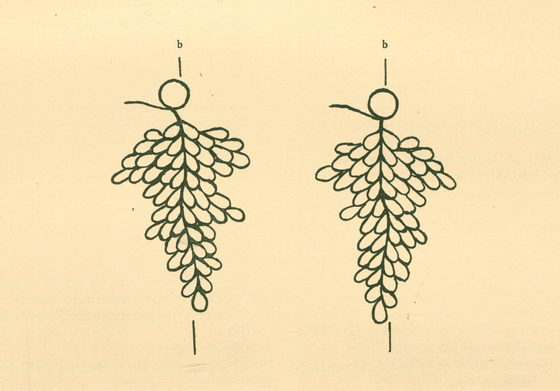 Paul Schwenke: Grapes in Johannes Gutenberg's Forty-two-Line Bible, Leipzig: Insel-Verlag.