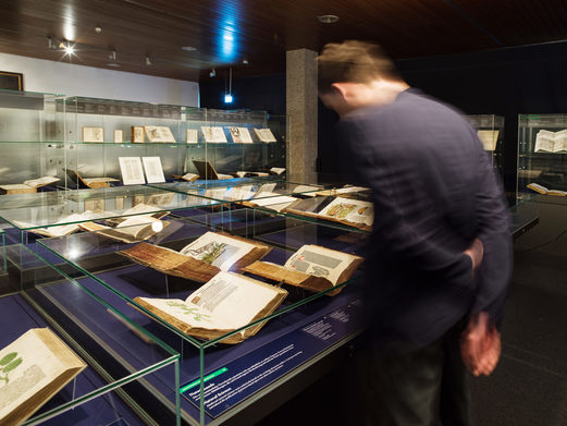 Visitor inside of the permanent exhibition, incunabula section. © Gutenberg-Museum, Foto: Carsten Costard