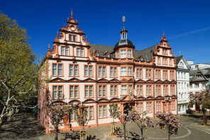 Die Gutenberg-Bibliothek befindet sich im „Römischen Kaiser“.