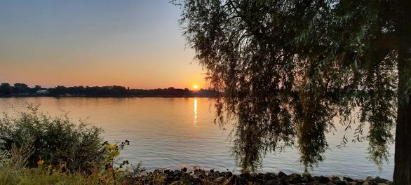 Fotoreihe: Sonnenaufgänge nach tropischen Nächten in Mainz bei 26 Grad im August 2020 um 6 Uhr morgens