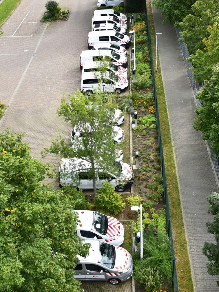 Flota pojazdów elektrycznych miasta Moguncja
