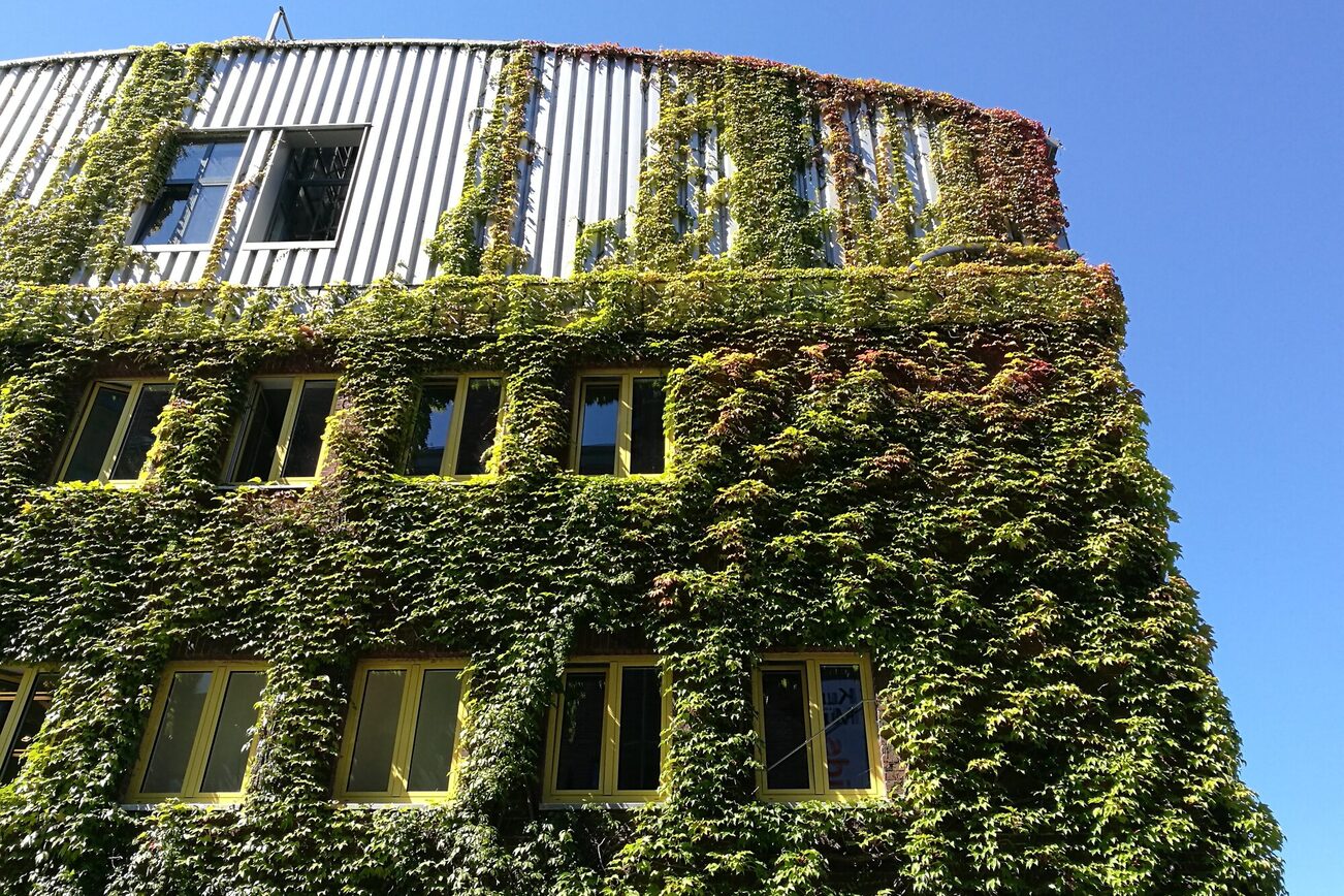 Begrünte Gebäudefassade