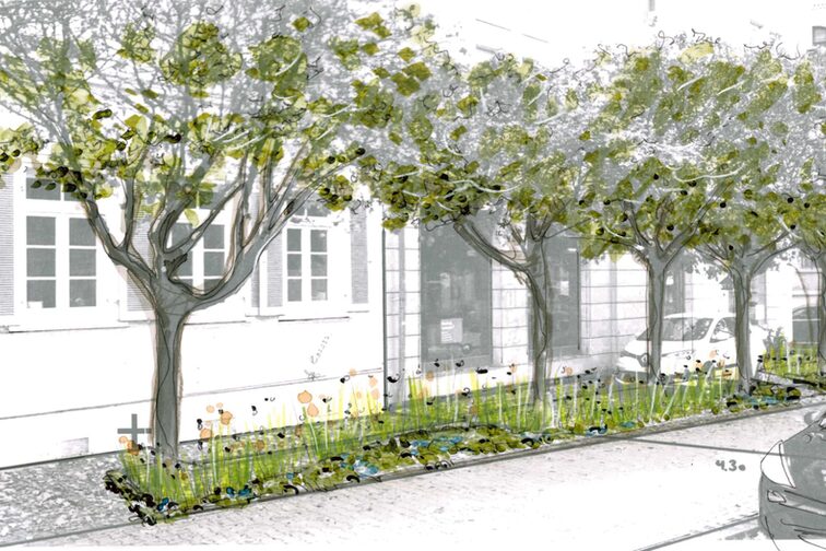 Entwurf zur Umgestaltung Holzhofstraße Ecke Schönbornstraße