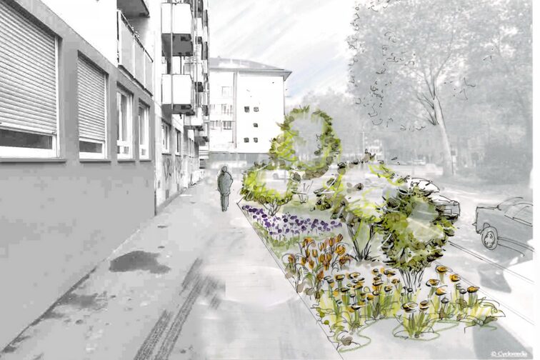 Entwurf zur Umgestaltung Kaiserstraße