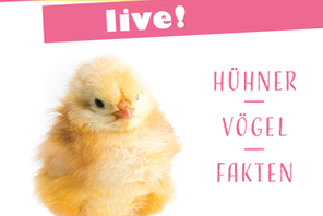 Küken live! &copy; nhmMz