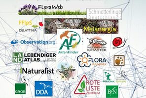 Plakat zur Ausstellung &copy; POLLICHIA e.V.