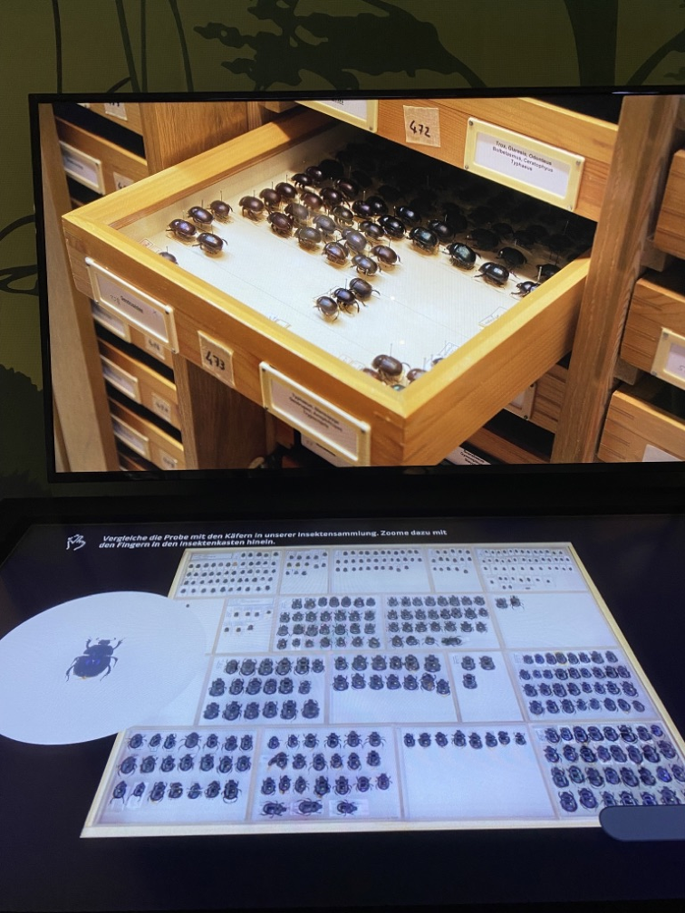 Die Sammlung der Mistkäfer.