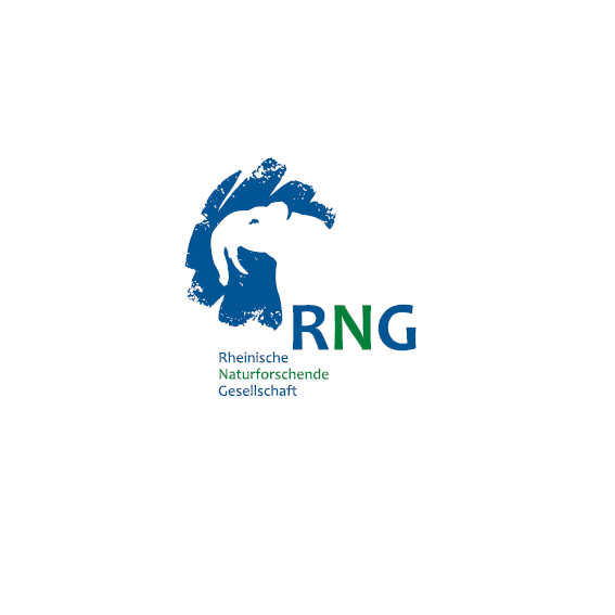 RNG'nin logosu.