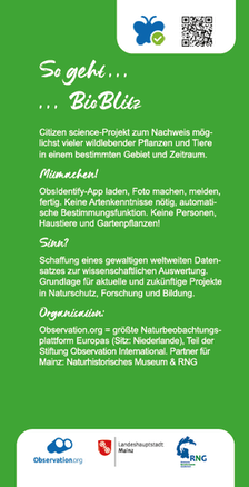 So geht BioBlitz