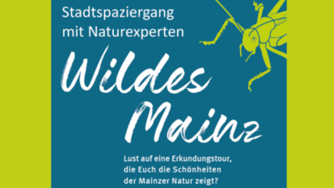 Wildes Mainz.