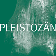 Pleistozän