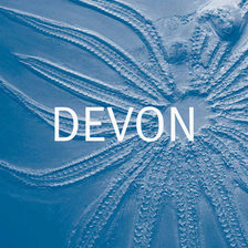 Devon