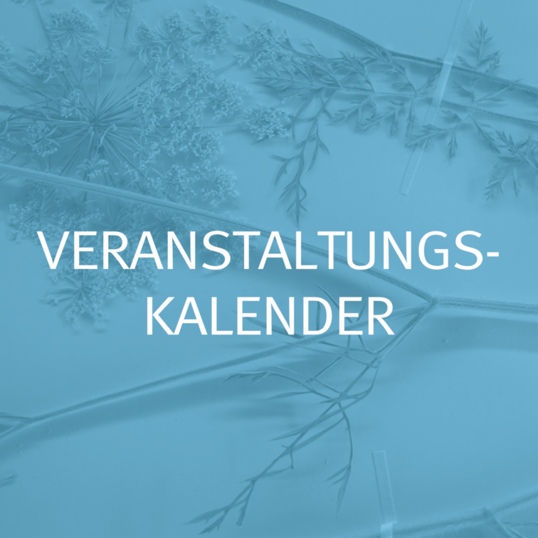 Unsere Events auf einen Klick!