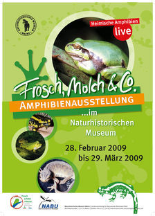 Amphibien 2009