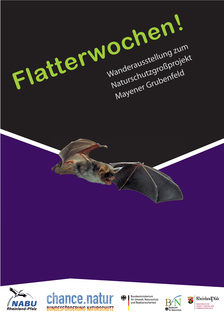 Flatterwochen 2010