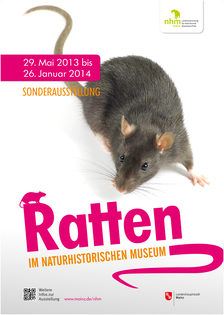 Ratten 2013/2014