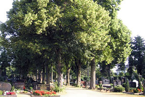 Allee der Erinnerung: Der Friedhof in Finthen. © WB Mainz