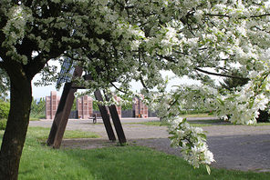 Impressionen vom Bezirksfriedhof Mainz-West © WB Mainz